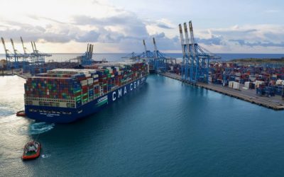 Cosco bites the charter bullet, while CMA CGM buys more ships