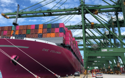 Container spot rates continue their downward march