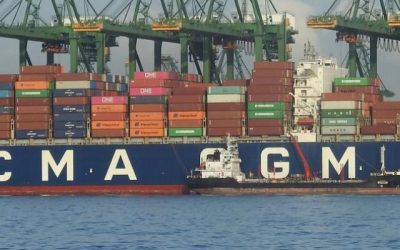 Container spot rates plunge 58% since January