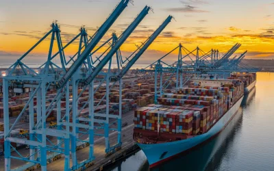 Imports to Los Angeles, America’s largest port, plunged 17% in August