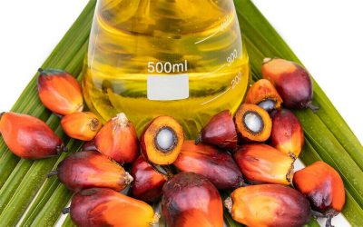 Palm oil futures rise on weather-related worries