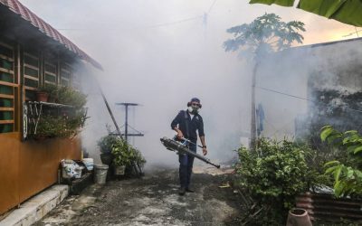 Climate change creates the perfect conditions for dengue to spread: Is fogging enough to beat that?