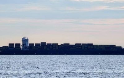 Spot and long-term container rate gulf continues to widen