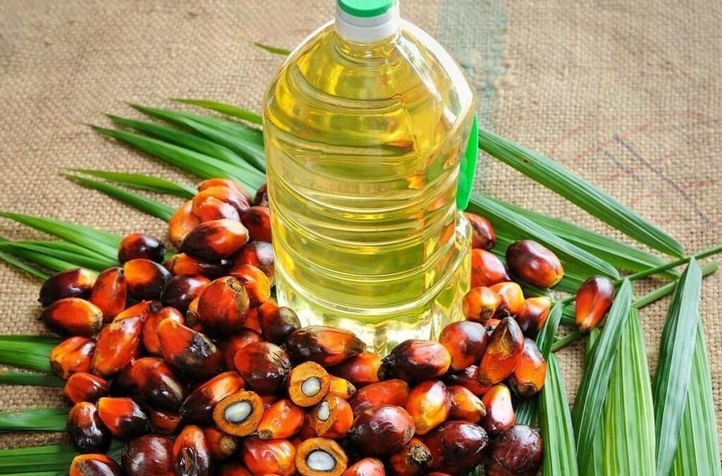 Malaysian palm oil futures surge on China optimism