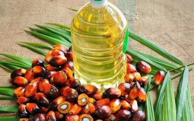 Malaysian palm oil futures surge on China optimism