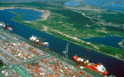 US supply chain congestion eases, carriers seek cargo