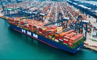 Four Companies in Shipping and Logistics Emerge as Bidders for HMM