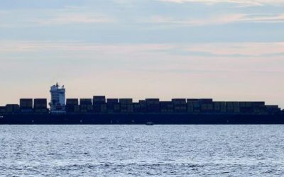 Critical years ahead for container shipping