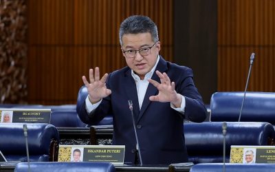 Malaysia needs own economic development strategy, says Chin Tong