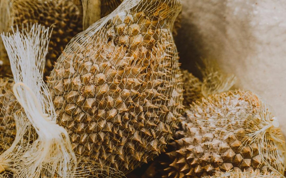 Malaysia Anticipates Start of Fresh Durian Exports to China in 2024