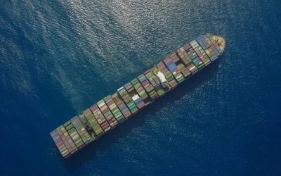 2024 Could be “Even More Brutal” for Container Carriers Warns Xeneta