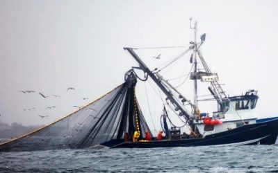 Repurposing Harmful Fisheries Subsidies Could Reduce Poverty