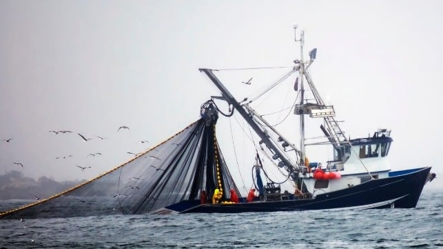 Repurposing Harmful Fisheries Subsidies Could Reduce Poverty