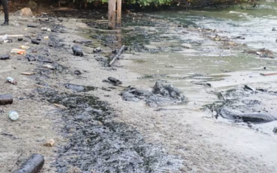 Malaysia’s Johor starts coastal clean-up following reported spread from Singapore oil spill