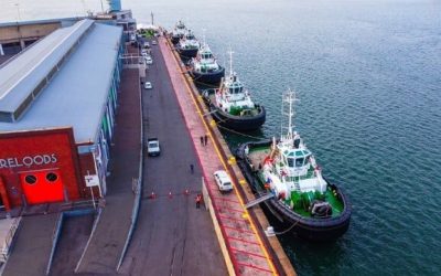 South Africa Commissions New Tugs and Launches in Port Renewal Plan