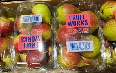 “India, Singapore and Malaysia steady markets for South African top fruit”