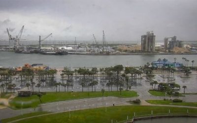 Hurricane Milton Interrupts Operations for the Florida Cruise Industry