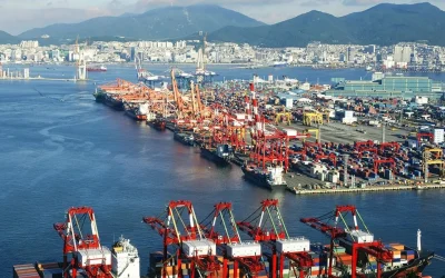 Shipping capacity in Asia strong despite global shocks: UNCTAD report