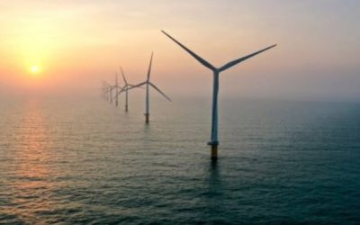 BOEM Releases EIS for Next Offshore Wind Farm as Industry Faces Uncertainty