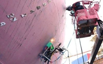 Crew Rescued as MSC Containership Blacks Out in Storm and Driven Ashore