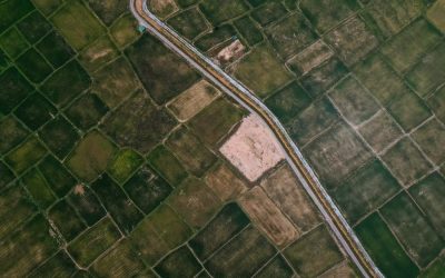 Malaysia, Indonesia to explore large-scale plantation projects in Kalimantan and South Papua