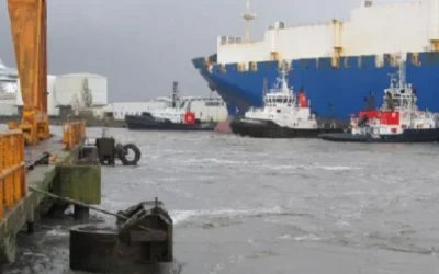Mooring Lines in Poor Condition Caused Cargo RoRo Endurance to Break Free