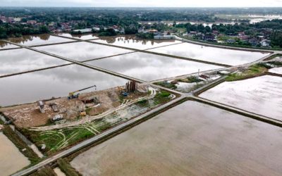 ECRL extension to Sungai Golok would complete eastern ASEAN rail link – MiTrans