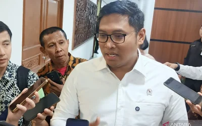 Government confirms rice exports to Malaysia, stocks safe