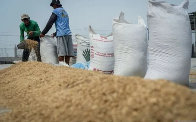Indonesia to export 2,000 tons rice to Malaysia in B2B deal