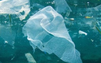 It’s Time for Shipping to Properly Regulate Plastic Pollution