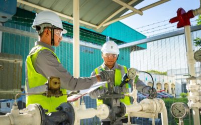 Malaysia reopens doors to foreign labour: Lifeline for industries or looming local job crisis?