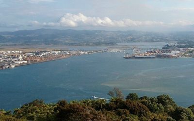 Port of Tauranga Slams Latest Delay in Approving Expansion