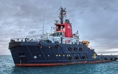 Boluda Adds Australia and Papua New Guinea Towage as Acquisitions Continue