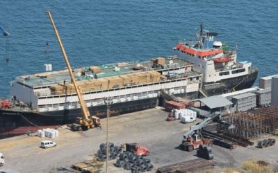 Livestock Carrier Stranded Off Turkish Coast as Activists Demand Action