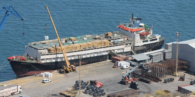 Spiridon-II—Animal-Welfare-Foundation