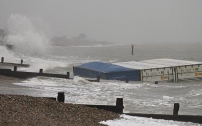 Bananas Ahoy as Overboard Containers Wash Ashore