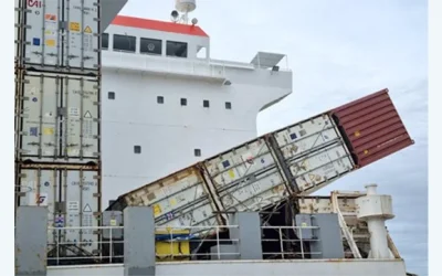 UK Investigators Say Banana Incident was Due to Unsecured Containers