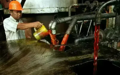 Palm slips, but still logs weekly gain to snap two-week decline