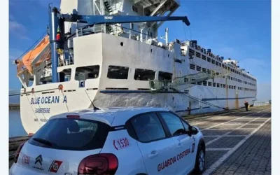 Italian Coast Guard Finds 54 Deficiencies After Saving Livestock Carrier