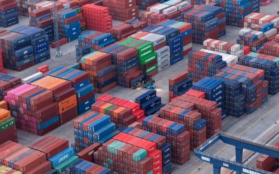 Asia cargo flows stay strong, supply chain realignment boosts Asean, says MTTSL