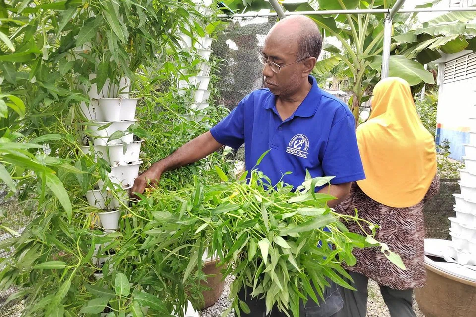 539d8246202e7fd61dad01effa7152cec943d5822a87a76e218bc0920b537144